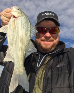 Boyd Lake Bass Fall Fishing in CO